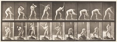 Plate 396. Pounding with a Mallet by Eadweard Muybridge