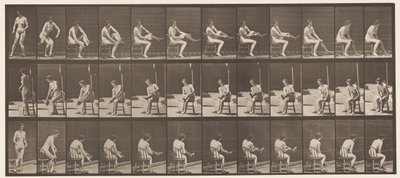 Toilet, Sitting and Putting on Stockings by Eadweard Muybridge