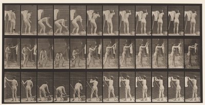 Plate 434. Hanging Clothes on Line by Eadweard Muybridge