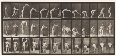 Spreading A Rug on the Floor, 1872-1885 by Eadweard Muybridge