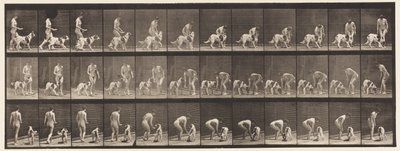 Feeding a Dog by Eadweard Muybridge