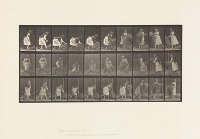 Lifting Handfuls of Hay, Turning, Throwing it Down by Eadweard Muybridge