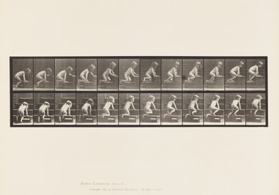 Plate 472. Child, Crawling Upstairs by Eadweard Muybridge