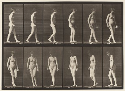 Plate 47. Walking, and Turning Around by Eadweard Muybridge