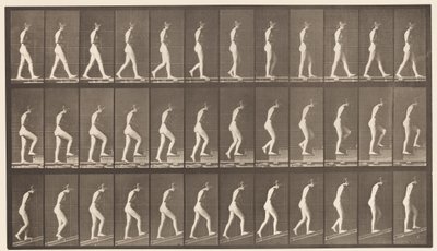 Plate 482. A, Walking; B, Ascending Stairs; C, Ascending Incline by Eadweard Muybridge
