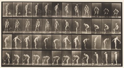 Plate 490. Sitting Down; Sprinkling Water by Eadweard Muybridge
