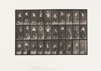 Ascending and Descending Stairs by Eadweard Muybridge