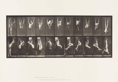 Plate 512. Contortions on Rings by Eadweard Muybridge