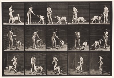 Plate 514. Feeding a Dog by Eadweard Muybridge