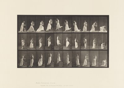 Ascending and Descending Stairs by Eadweard Muybridge
