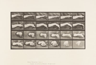 Movement of the Hand; Drawing a Circle by Eadweard Muybridge