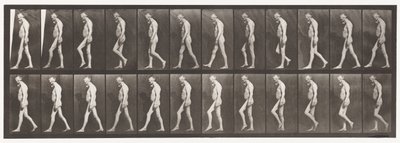 Muscular Atrophy of Legs; Adult, Walking by Eadweard Muybridge