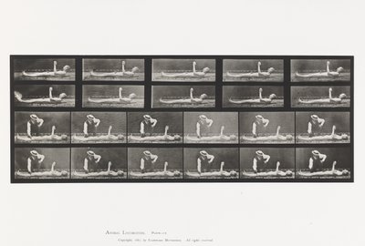 Plate 556. Local Chorea; A, B, While Lying by Eadweard Muybridge