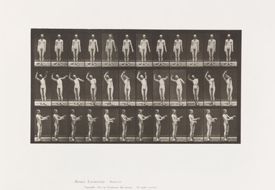 Local Chorea; While Standing by Eadweard Muybridge