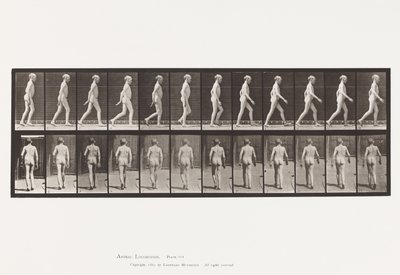 Lateral Curvature of Spine; Walking (Plate 562) by Eadweard Muybridge