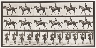 Walking; Saddle; Thoroughbred Bay Mare Annie G. by Eadweard Muybridge