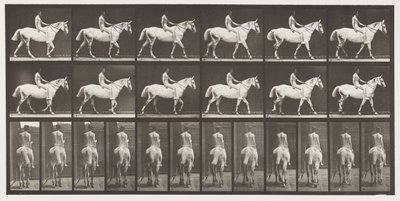 Walking; Bareback; Rider, 43, Nude; Light-Gray Horse Smith, 1885 by Eadweard Muybridge