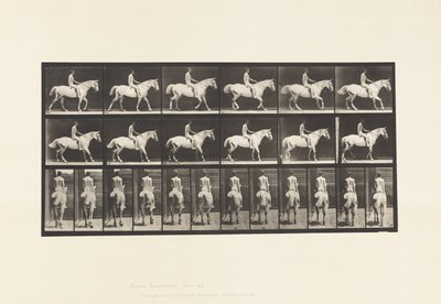 Walking; Saddle; Rider, 43, Nude; Light-Gray Horse Smith (Plate 582) by Eadweard Muybridge