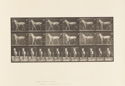 Walking; Sulky; Light Gray Mare, Katydid by Eadweard Muybridge