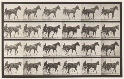 Walking; Sulky; Sorrel Mare Nellie Rose, 1885 by Eadweard Muybridge