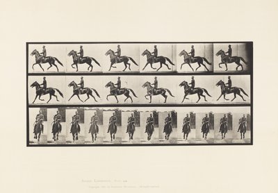 Rocking (Pacing): Saddle; Brown Horse Pronto (Plate 593) by Eadweard Muybridge