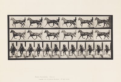 Plate 595. Rocking (Pacing): Sulky; Brown Horse Pronto by Eadweard Muybridge