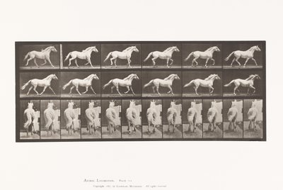 Trotting; Free; Light-Gray Horse Eagle (Plate 596) by Eadweard Muybridge