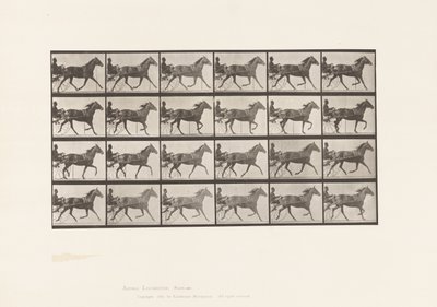 Plate 607. Trotting; Sulky; Bay Mare, Lizzie M. by Eadweard Muybridge