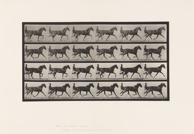 Trotting; Sulky; Sorrel Mare, Flode Holden (Plate 608) by Eadweard Muybridge
