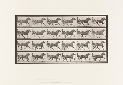 Trotting; Sulky; Bay Mare, Lizzie M. (Plate 609) by Eadweard Muybridge