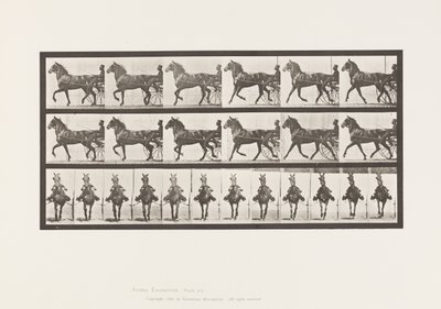 Trotting; Sulky; Bay Horse, Dereumd (Plate 612) by Eadweard Muybridge