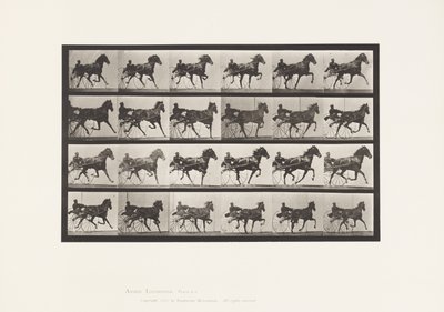 Plate 613. Trotting; Sulky; Sorrel Mare Nellie Rose by Eadweard Muybridge