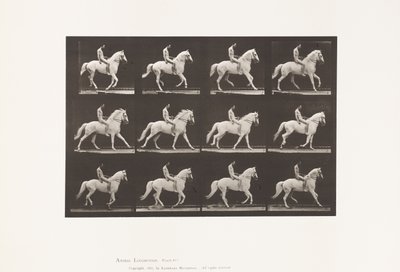 Plate 617. Canter; Bareback; Rider, 106, Nude; White Horse Clinton, 1885 by Eadweard Muybridge