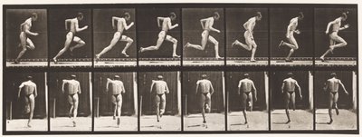 Plate 61. Running at Full Speed by Eadweard Muybridge