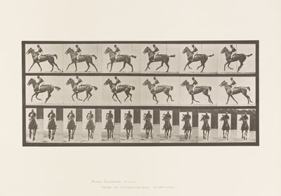 Canter; Saddle; Thoroughbred Bay Mare Annie 6 (Plate 621) by Eadweard Muybridge