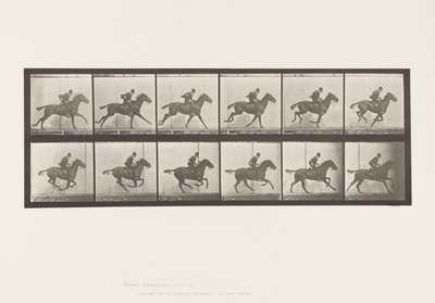 Gallop; Saddle; Bay Horse Daisy (Plate 624) by Eadweard Muybridge
