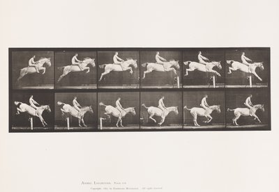 Plate 643. Jumping a Hurdle; Bareback; Clearing and Landing by Eadweard Muybridge
