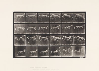 Plate 648. Jumping Over Three Horses; A,B; Chestnut Horse Hornet by Eadweard Muybridge