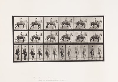 Plate 653. Walking; Saddle; Lame, Right Front Foot; Horse-Buckskin by Eadweard Muybridge