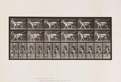 Plate 678. Goat; Trotting, in Sulky by Eadweard Muybridge