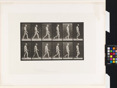 Plate 6. Walking by Eadweard Muybridge