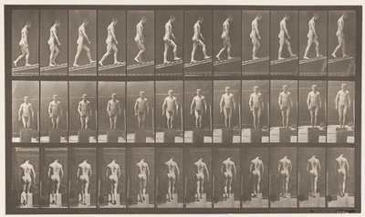 Plate 74. Ascending Incline, Angle 1 in 4 by Eadweard Muybridge
