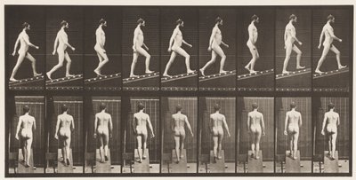 Ascending Incline, Angle 1 in 4 by Eadweard Muybridge
