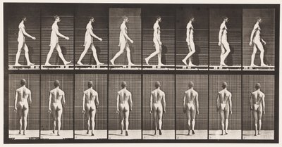 Plate 8. Walking by Eadweard Muybridge