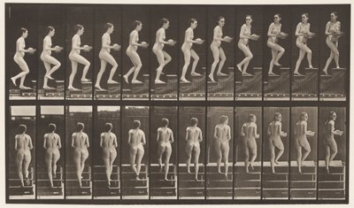 Plate 94. Ascending Stairs Looking Around; Basin in Hands by Eadweard Muybridge