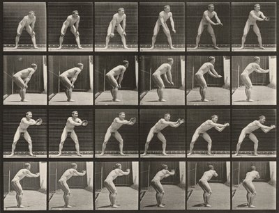 Plate Number 280. Baseball, Catching by Eadweard Muybridge