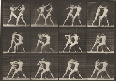 Plate Number 340. Boxing, open hand by Eadweard Muybridge
