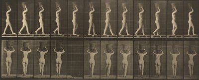 Walking and Carrying a 15-lb. Basket on Head, Hands Raised by Eadweard Muybridge