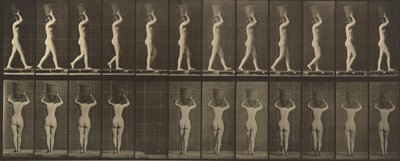 Plate Number 34. Walking and carrying a 15-lb. basket on head, hands raised by Eadweard Muybridge