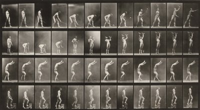 Plate Number 488. A: Lawn tennis. B: Dumbbells. C: Walking on hands. D: Ascending stairs by Eadweard Muybridge